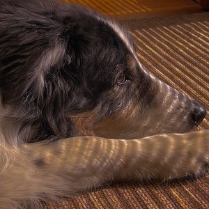 Meet your Posher, Arianne